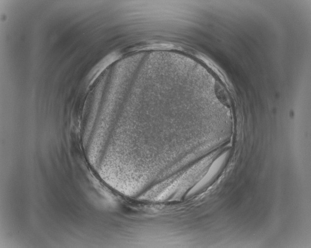 X0000080811193200701051142