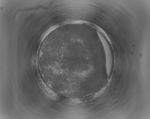 X0000080811194200701051142