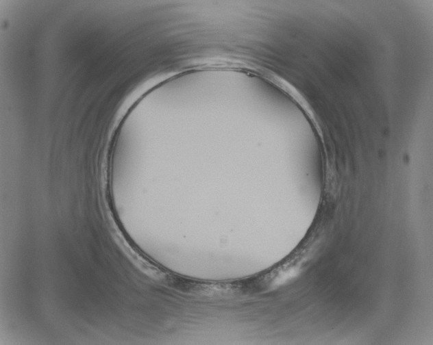 X0000080811195200701051142