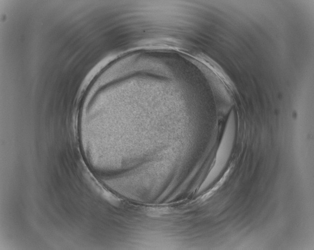 X0000080811196200701051142