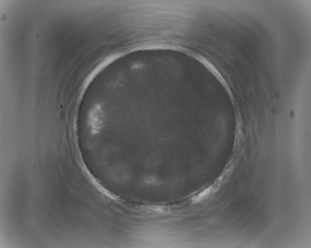 X0000080811197200701051142