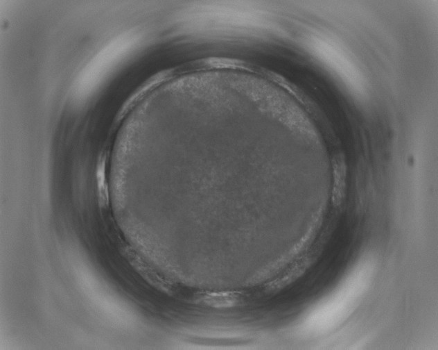 X0000080811198200701051142