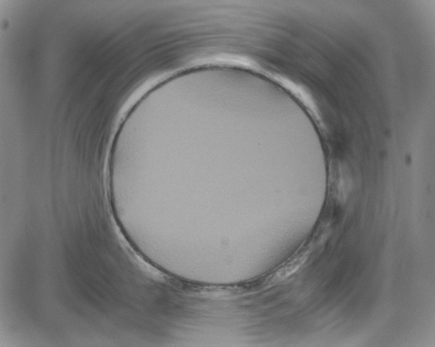 X0000080811199200701051142