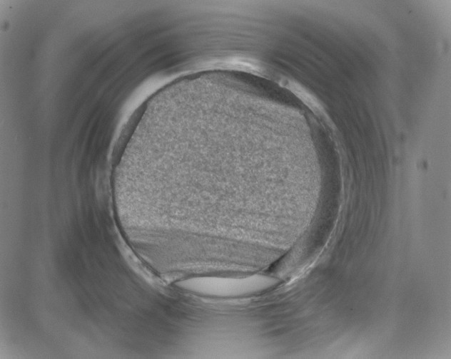 X0000080811200200701051142