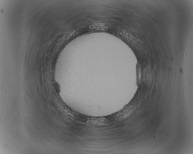 X0000080811201200701051141