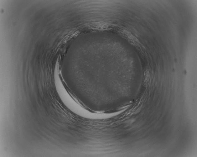 X0000080811202200701051141