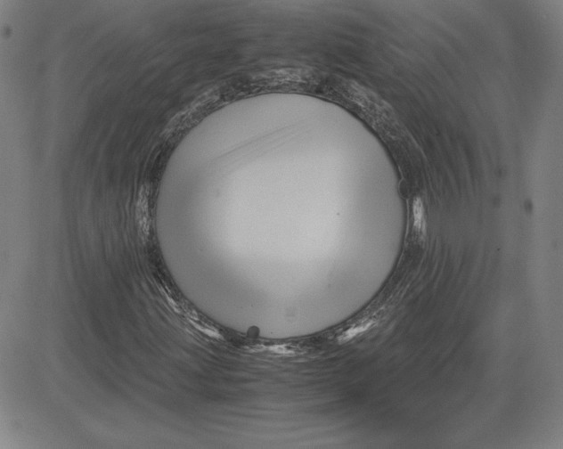 X0000080811203200701051141