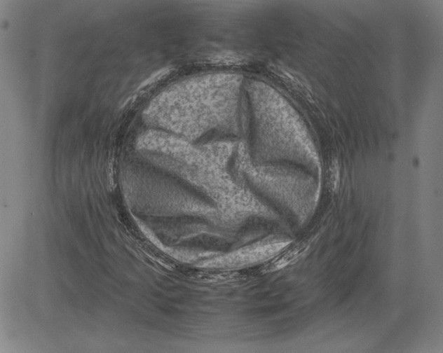 X0000080811205200701051141