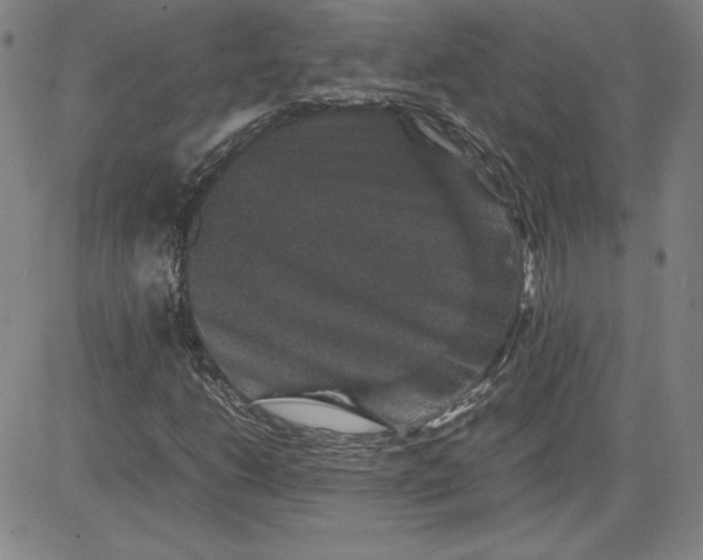 X0000080811206200701051141