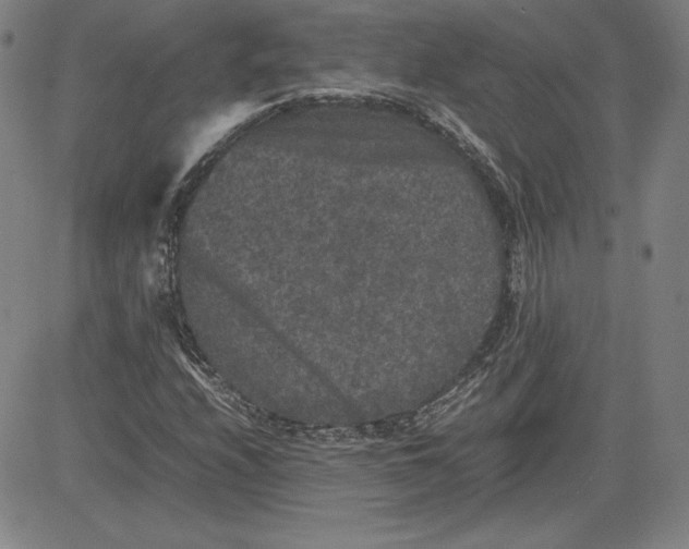 X0000080811208200701051142