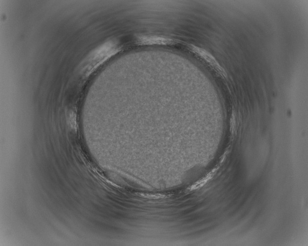 X0000080811209200701051142