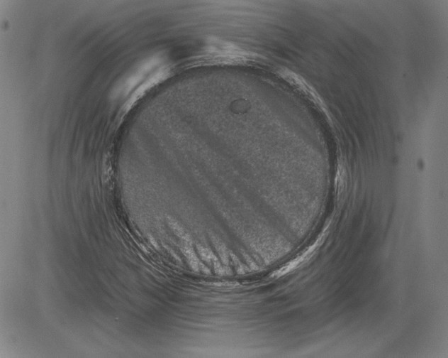 X0000080811210200701051142