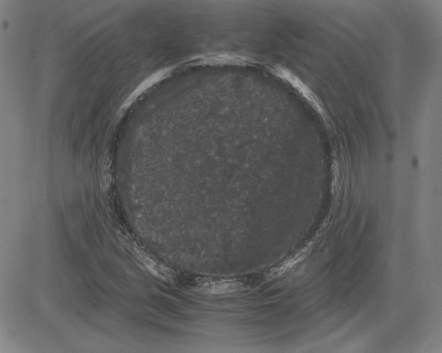 X0000080811213200701051142