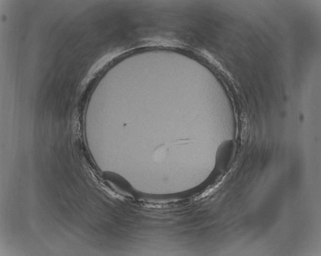 X0000080811215200701051142