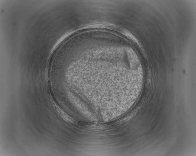 X0000080811216200701051142