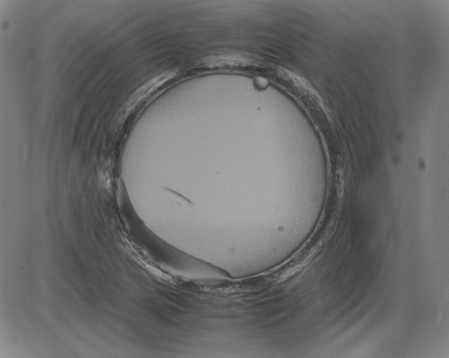 X0000080811217200701051142