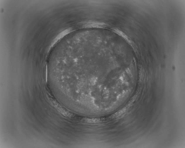 X0000080811219200701051142