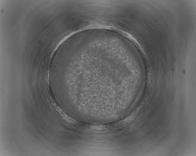 X0000080811220200701051142