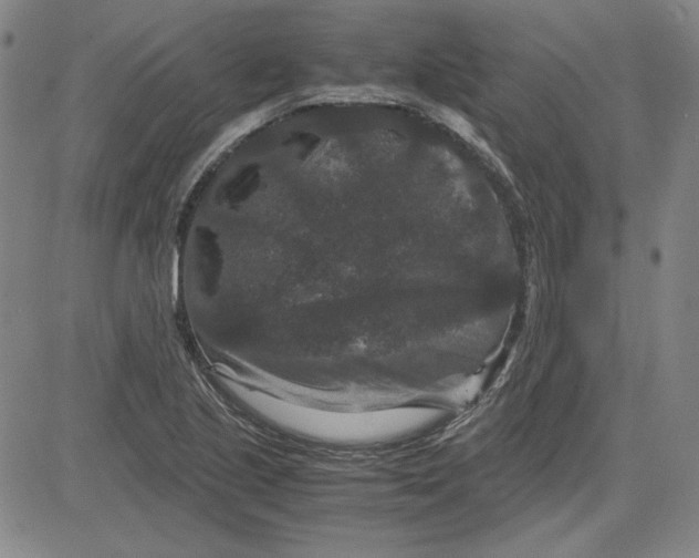 X0000080811221200701051142