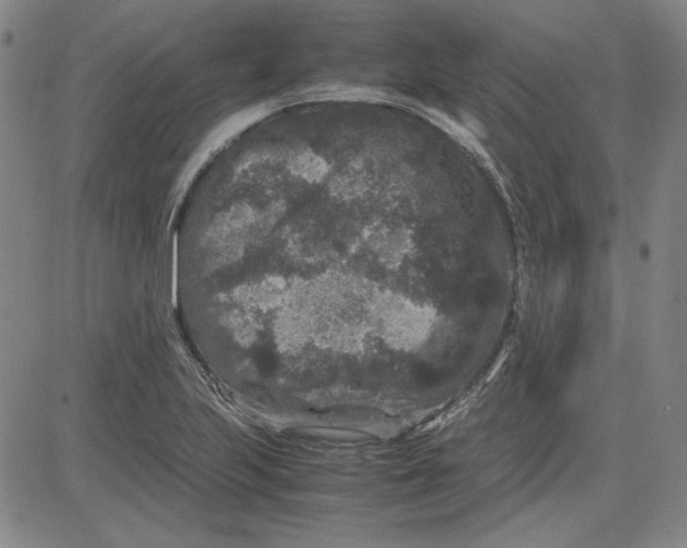 X0000080811223200701051142