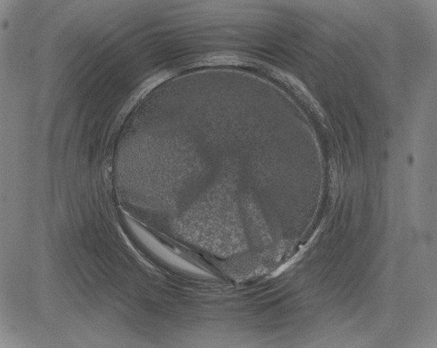 X0000080811225200701051142