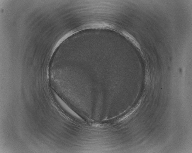 X0000080811226200701051142