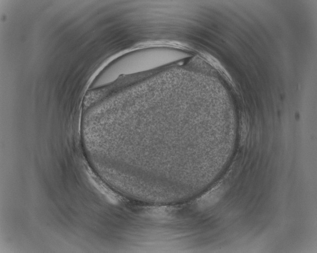 X0000080811228200701051142