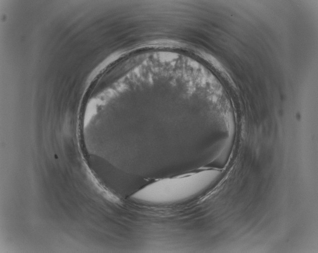 X0000080811229200701051142