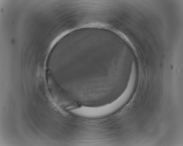 X0000080811230200701051142