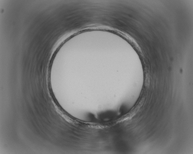 X0000080811231200701051142