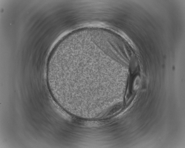 X0000080811232200701051142