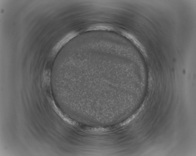 X0000080811233200701051142