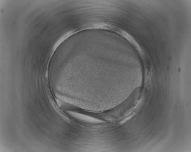 X0000080811234200701051142