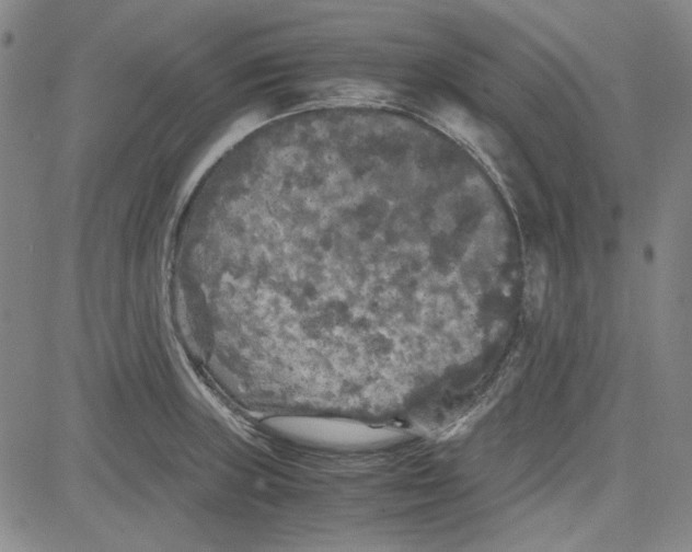 X0000080811235200701051142