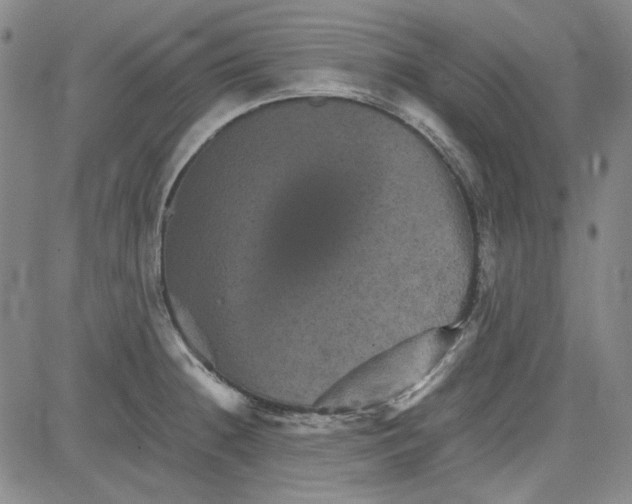 X0000080811236200701051142