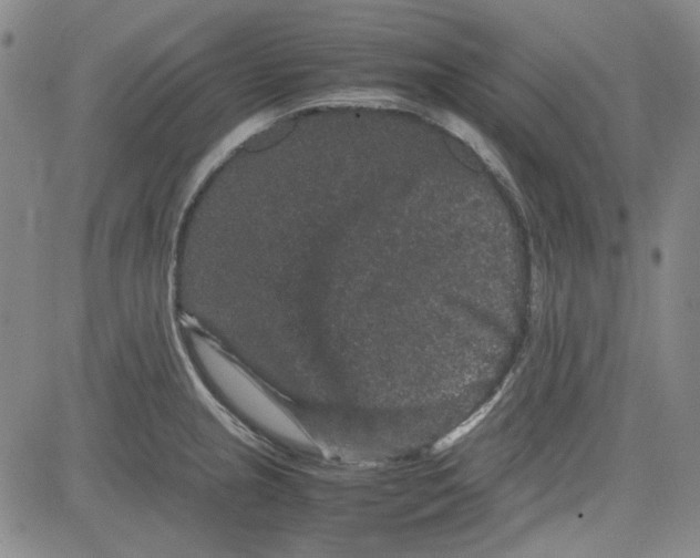 X0000080811237200701051142