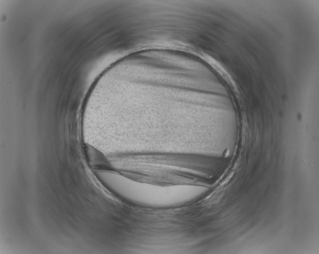 X0000080811238200701051142