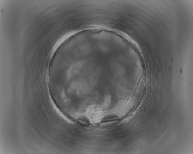 X0000080811239200701051142