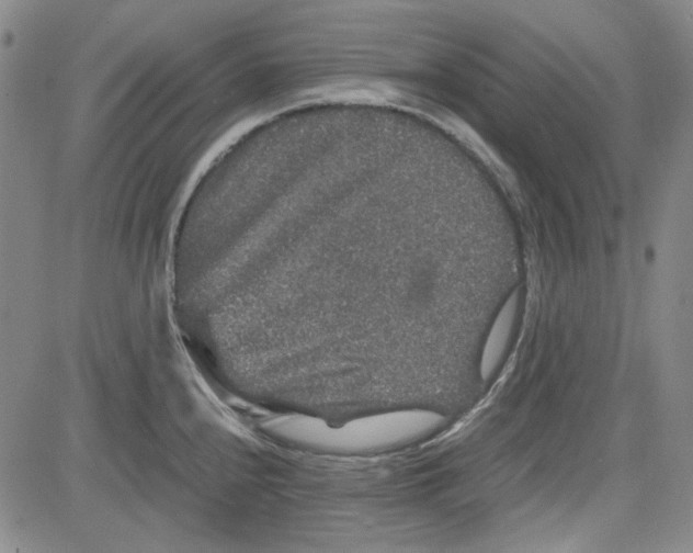 X0000080811240200701051142