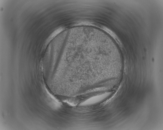 X0000080811241200701051142