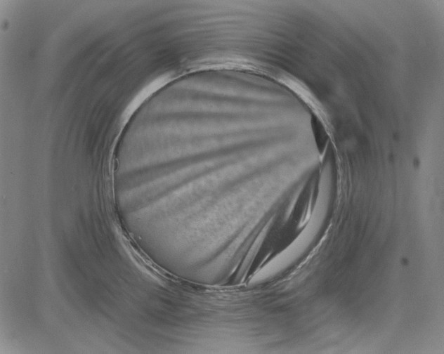 X0000080811242200701051142