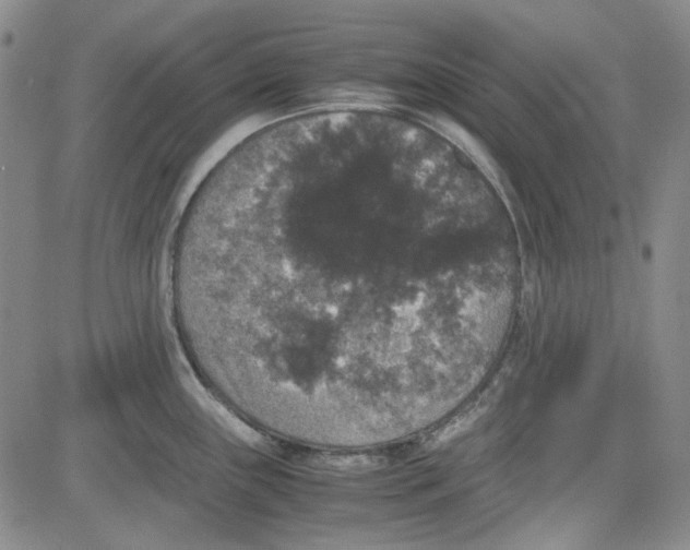 X0000080811243200701051142