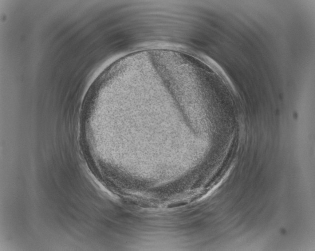 X0000080811244200701051142