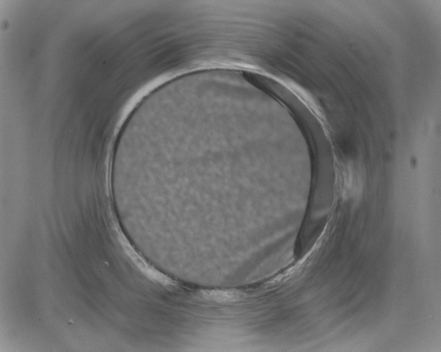 X0000080811246200701051142