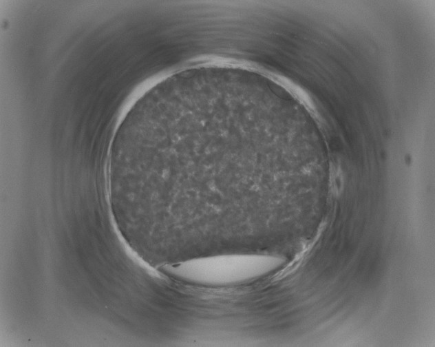 X0000080811247200701051142