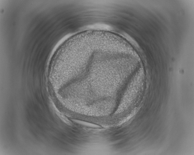 X0000080811248200701051142