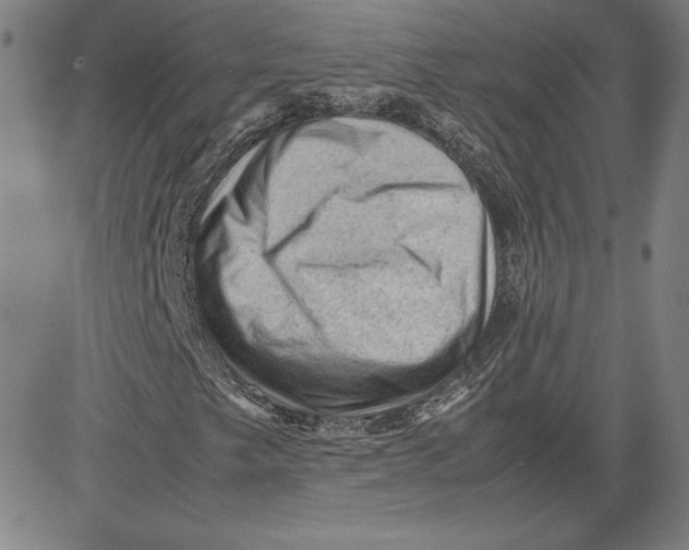 X0000080811249200701051141