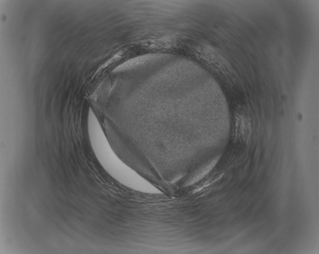 X0000080811250200701051141