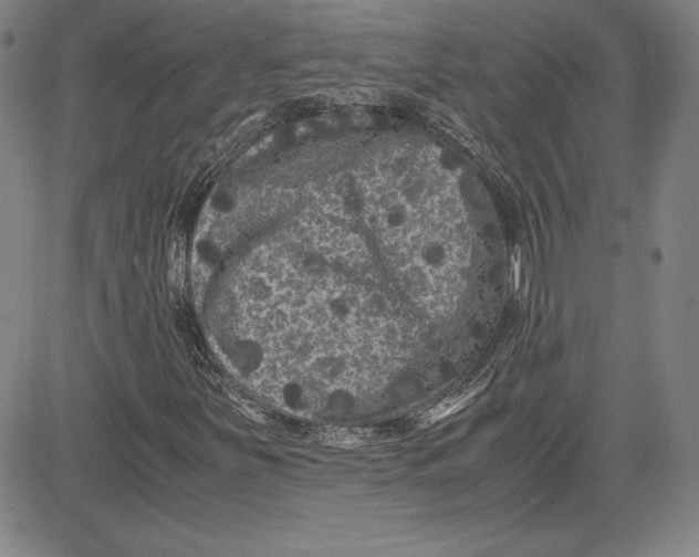 X0000080811251200701051141