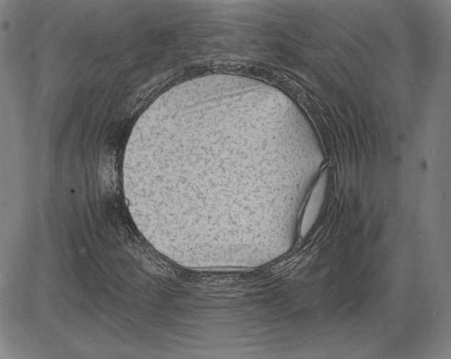 X0000080811252200701051141